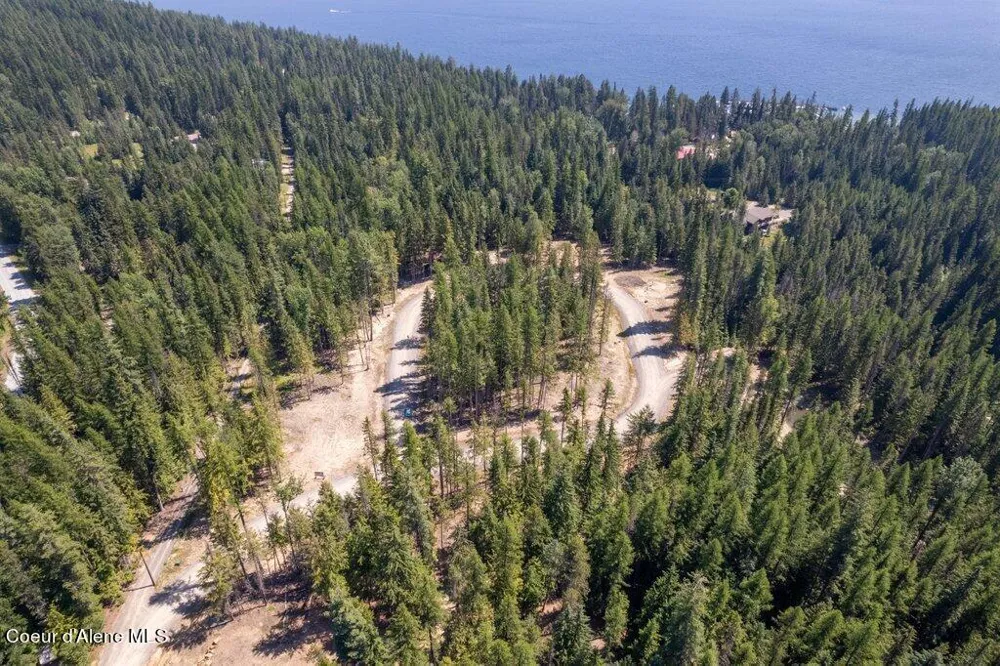 Lot 5 Brown Bear Drive Nordman, ID 83848