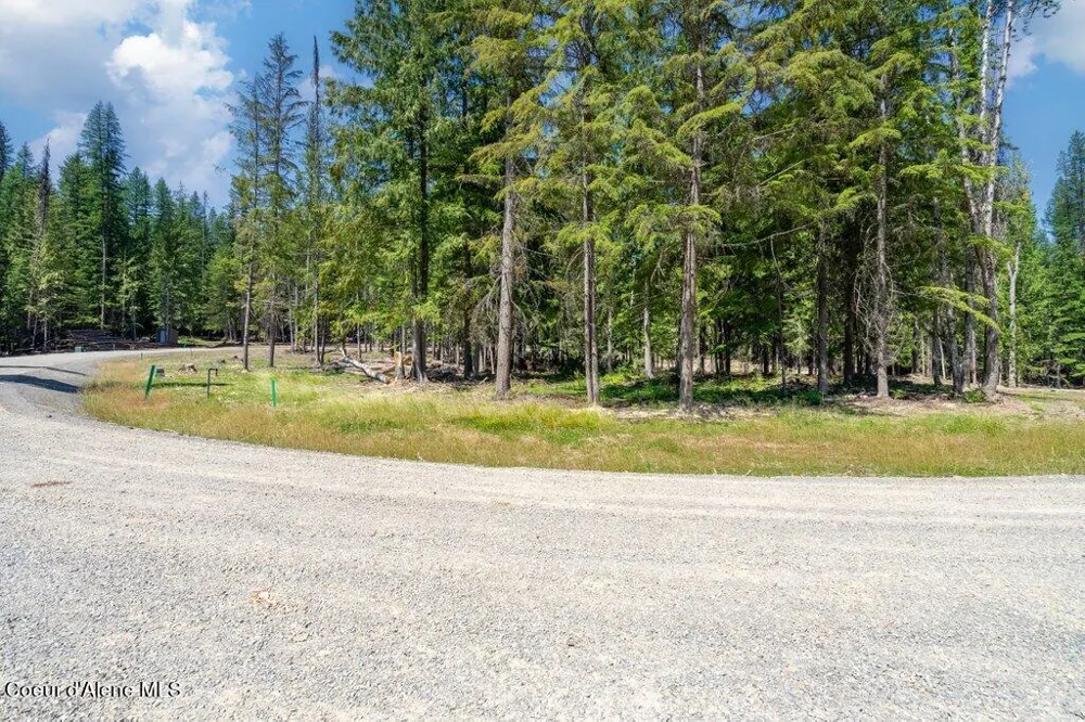 Lot 5 Brown Bear Drive Nordman, ID 83848