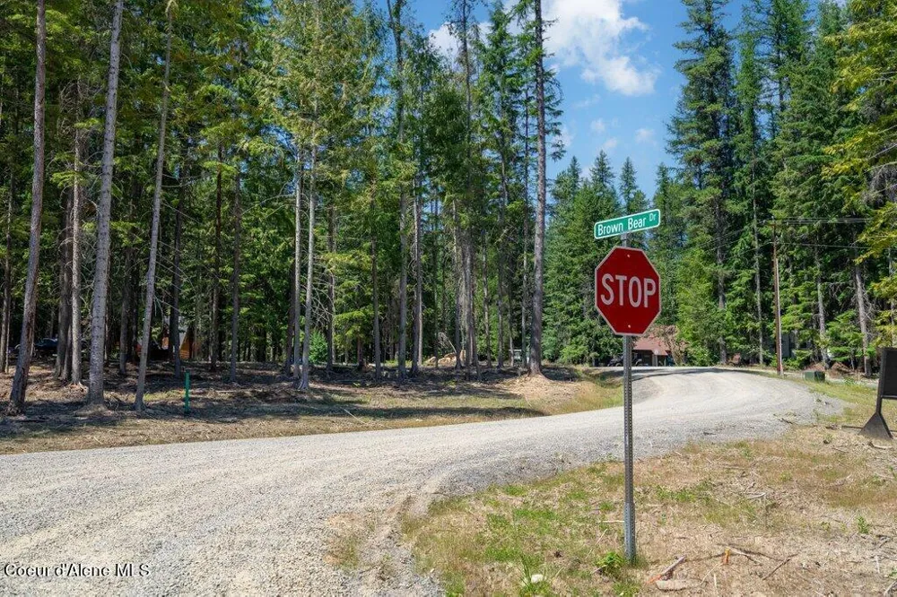 Lot 6 Brown Bear Drive Nordman, ID 83848