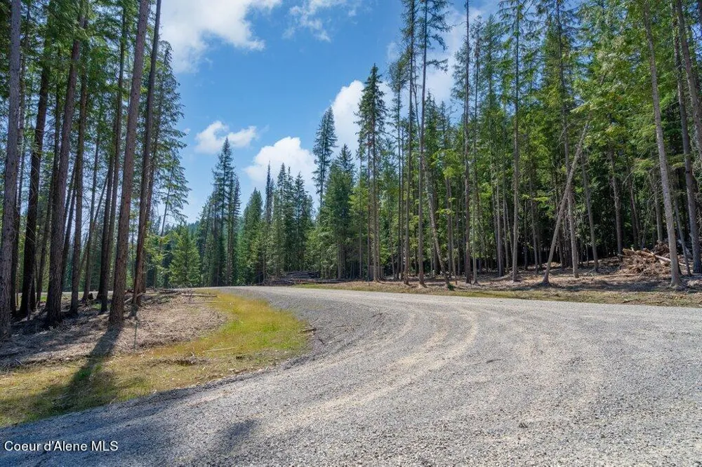 Lot 6 Brown Bear Drive Nordman, ID 83848