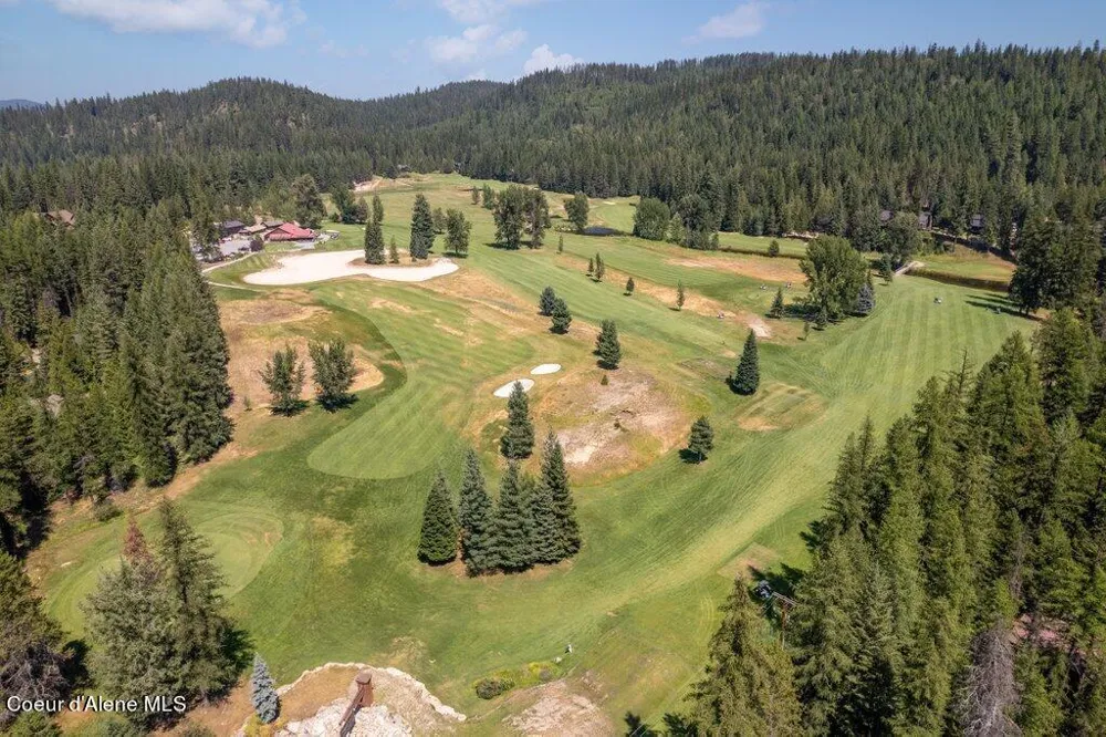 Lot 6 Brown Bear Drive Nordman, ID 83848