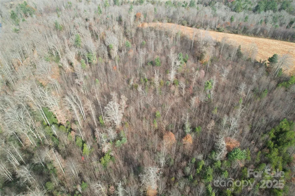 000 Old Shelby Road Vale, NC 28168