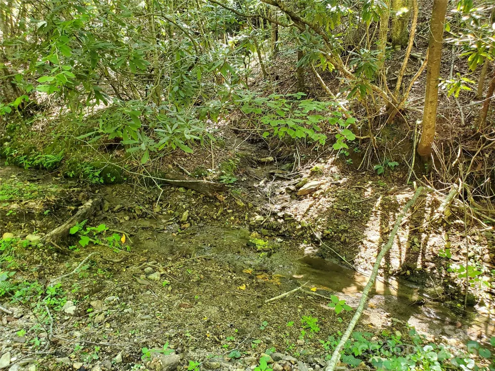 5023 Elk Park Highway Elk Park, NC 28622