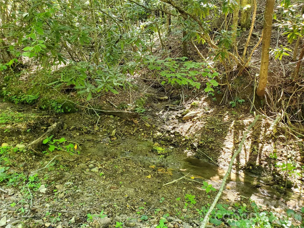 5023 Elk Park Highway Elk Park, NC 28622