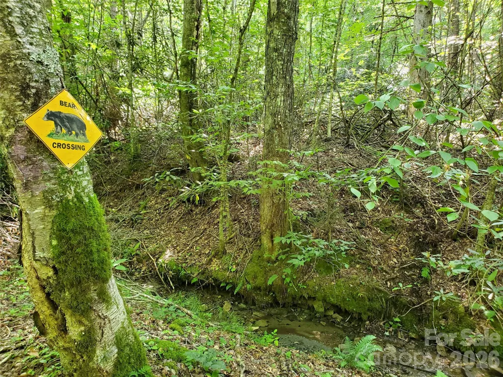 5023 Elk Park Highway Elk Park, NC 28622