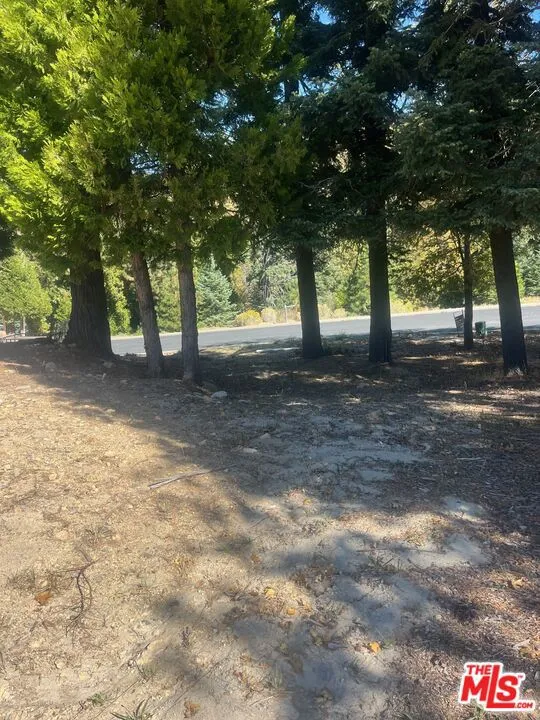 188 Mill Pond Road Lake Arrowhead, CA 92352