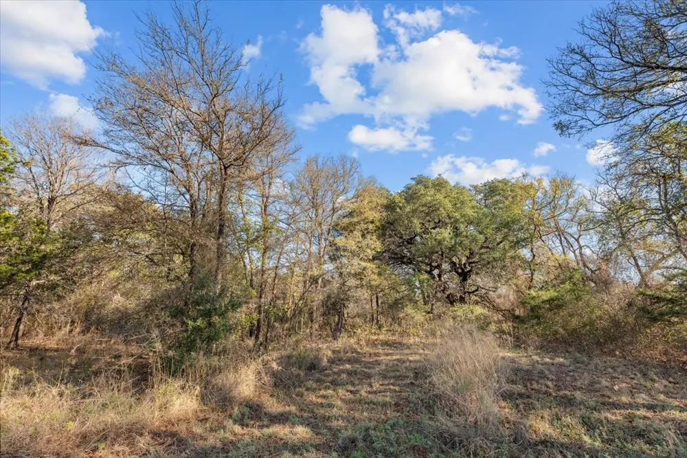 Fm-1304 Aquilla, TX 76622