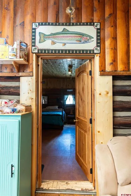 4650 Usfs Rd 516 Creede, CO 81130
