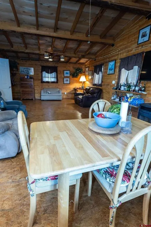 4650 Usfs Rd 516 Creede, CO 81130