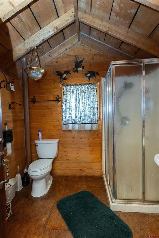 4650 Usfs Rd 516 Creede, CO 81130