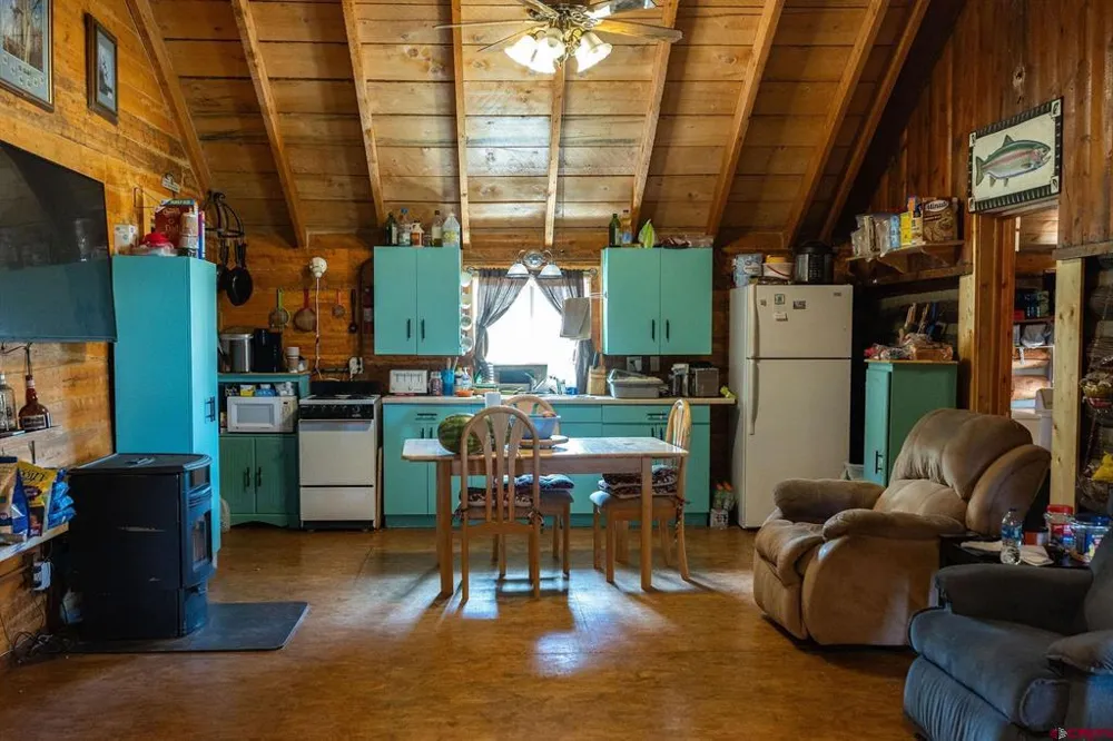 4650 Usfs Rd 516 Creede, CO 81130