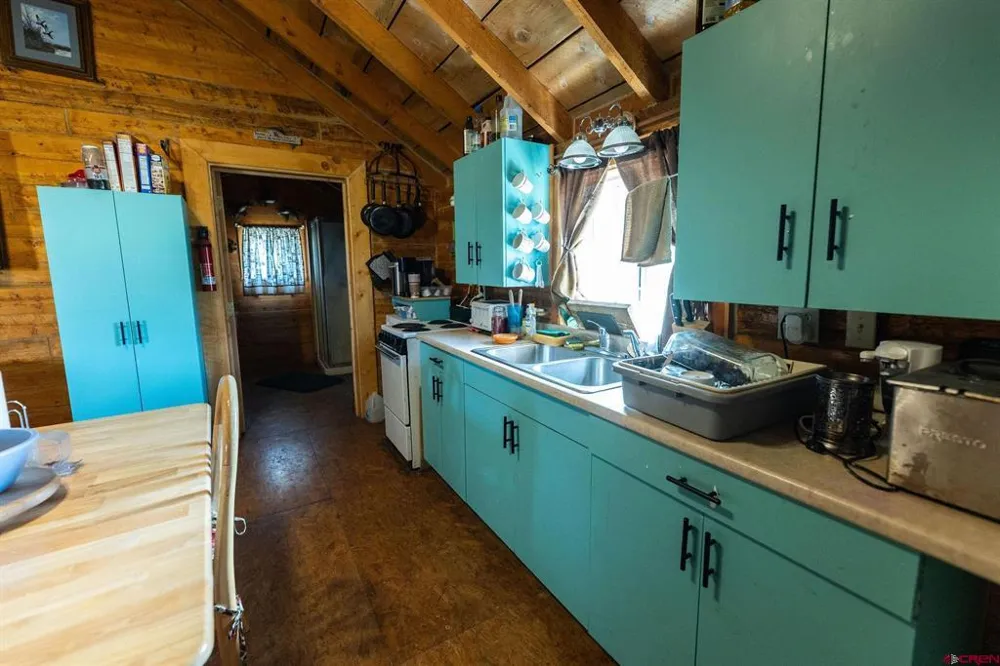 4650 Usfs Rd 516 Creede, CO 81130