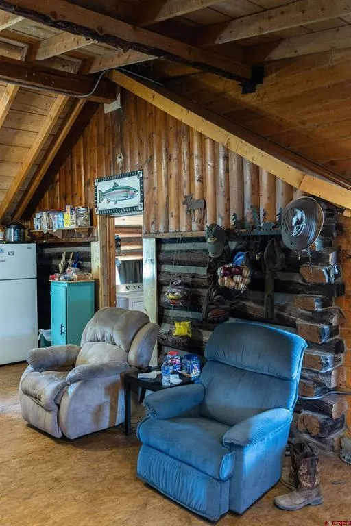 4650 Usfs Rd 516 Creede, CO 81130