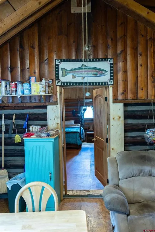4650 Usfs Rd 516 Creede, CO 81130