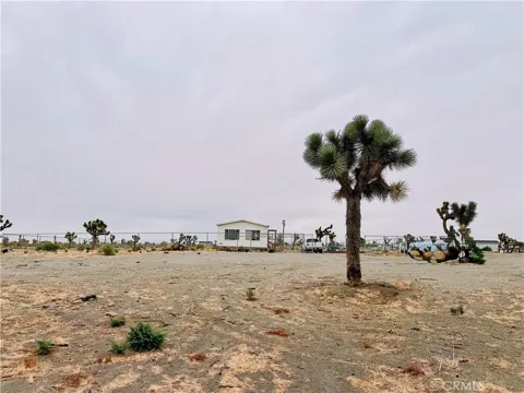 12452 Golden View