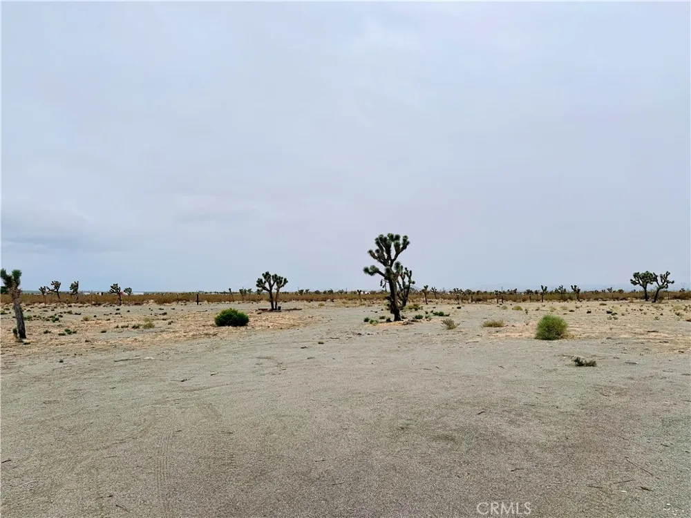 12452 Golden View Pinon Hills, CA 92372
