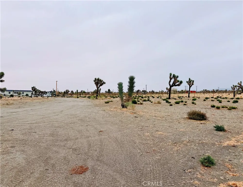 12452 Golden View Pinon Hills, CA 92372