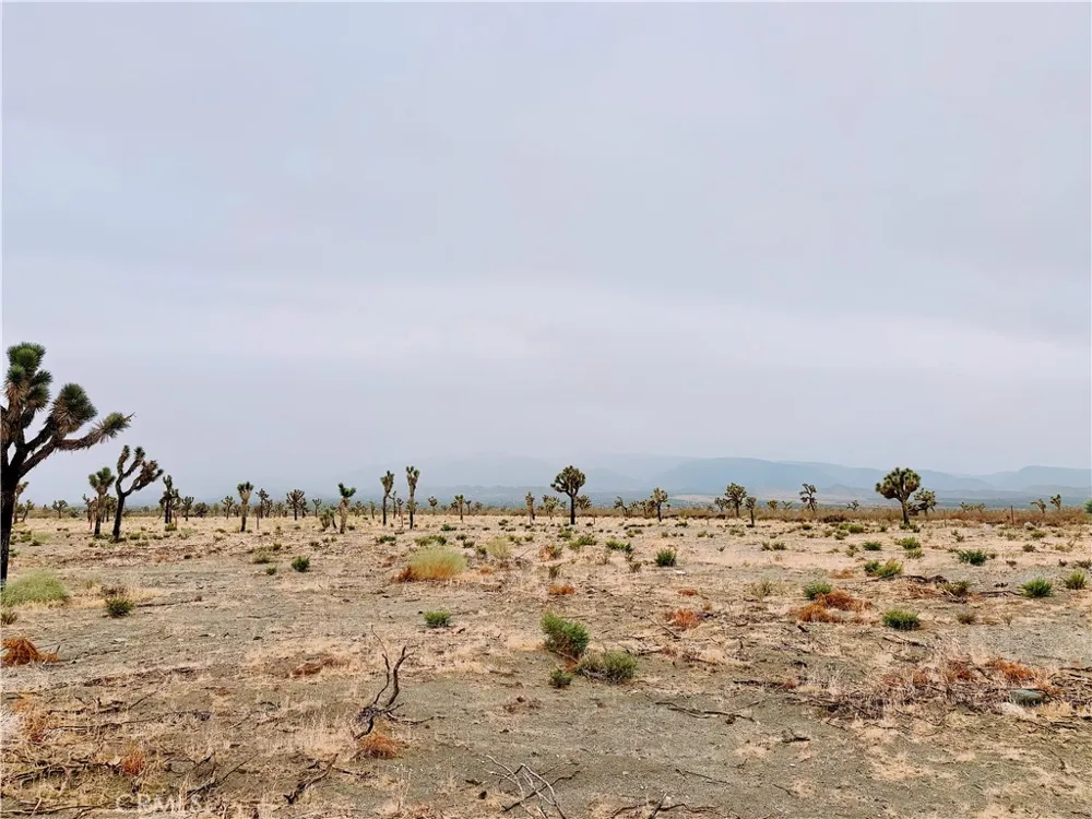 12452 Golden View Pinon Hills, CA 92372