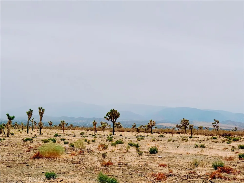 12452 Golden View Pinon Hills, CA 92372