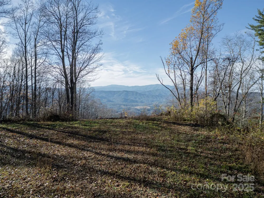 1098 Hyacinth Drive Clyde, NC 28721