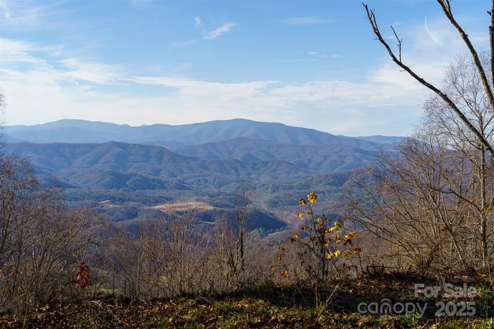 1098 Hyacinth Drive Clyde, NC 28721