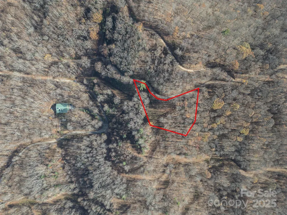 1098 Hyacinth Drive Clyde, NC 28721