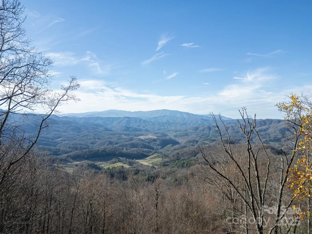 1098 Hyacinth Drive Clyde, NC 28721