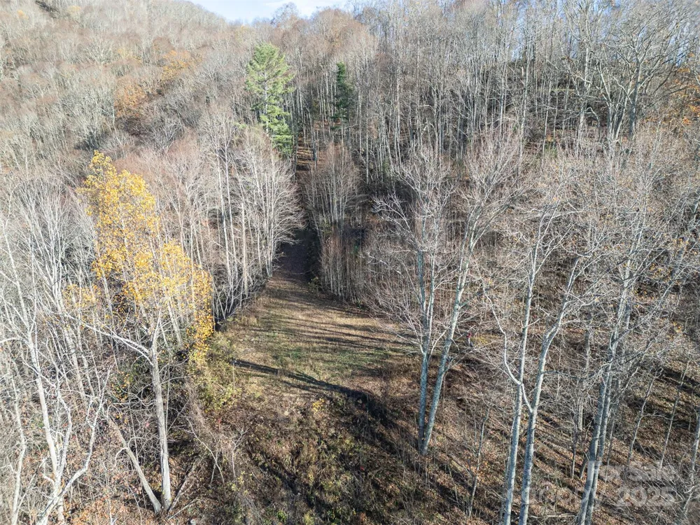 1098 Hyacinth Drive Clyde, NC 28721