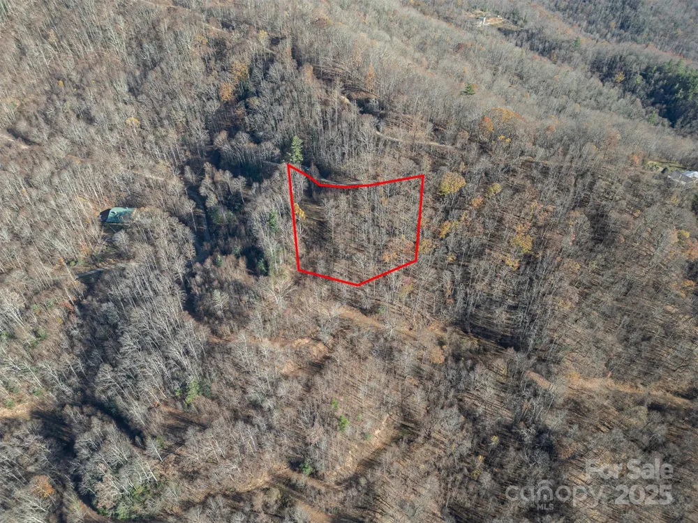 1098 Hyacinth Drive Clyde, NC 28721