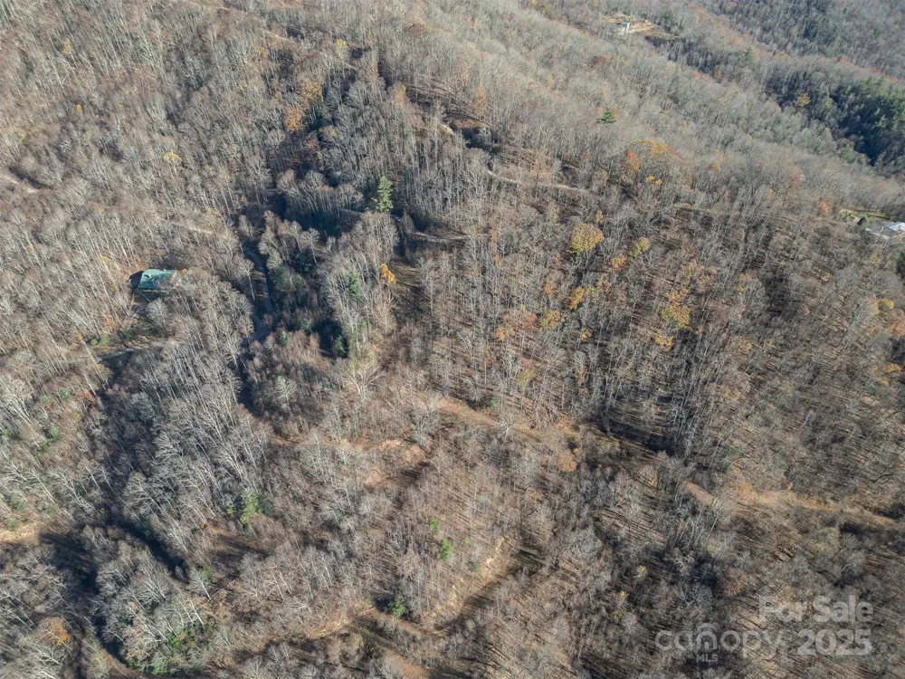 1098 Hyacinth Drive Clyde, NC 28721