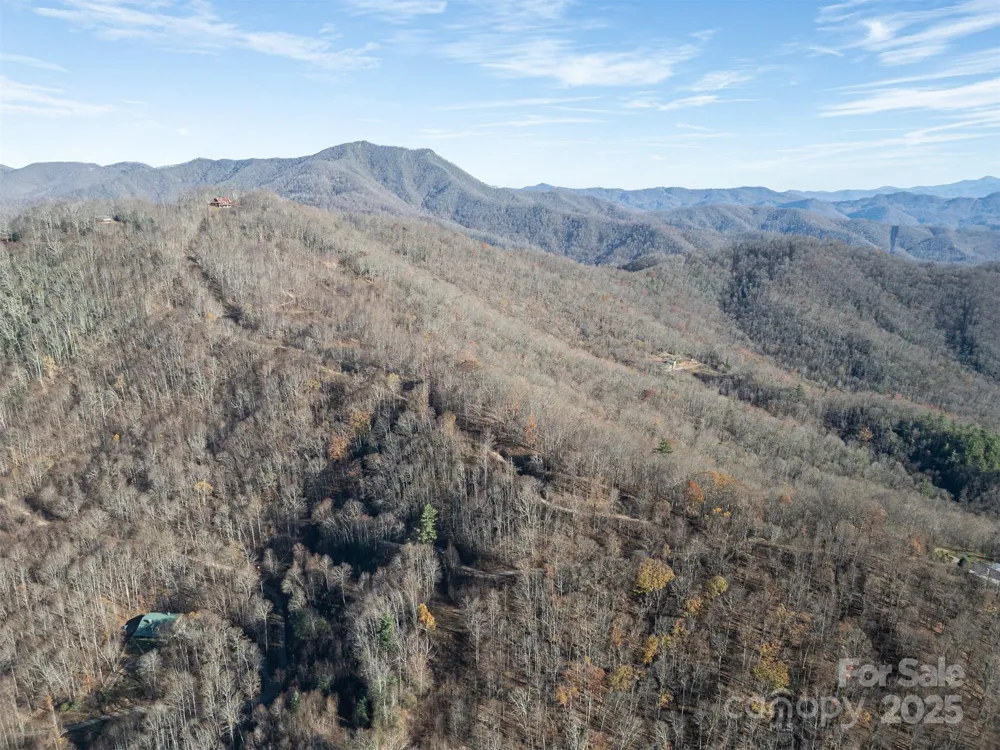 1098 Hyacinth Drive Clyde, NC 28721