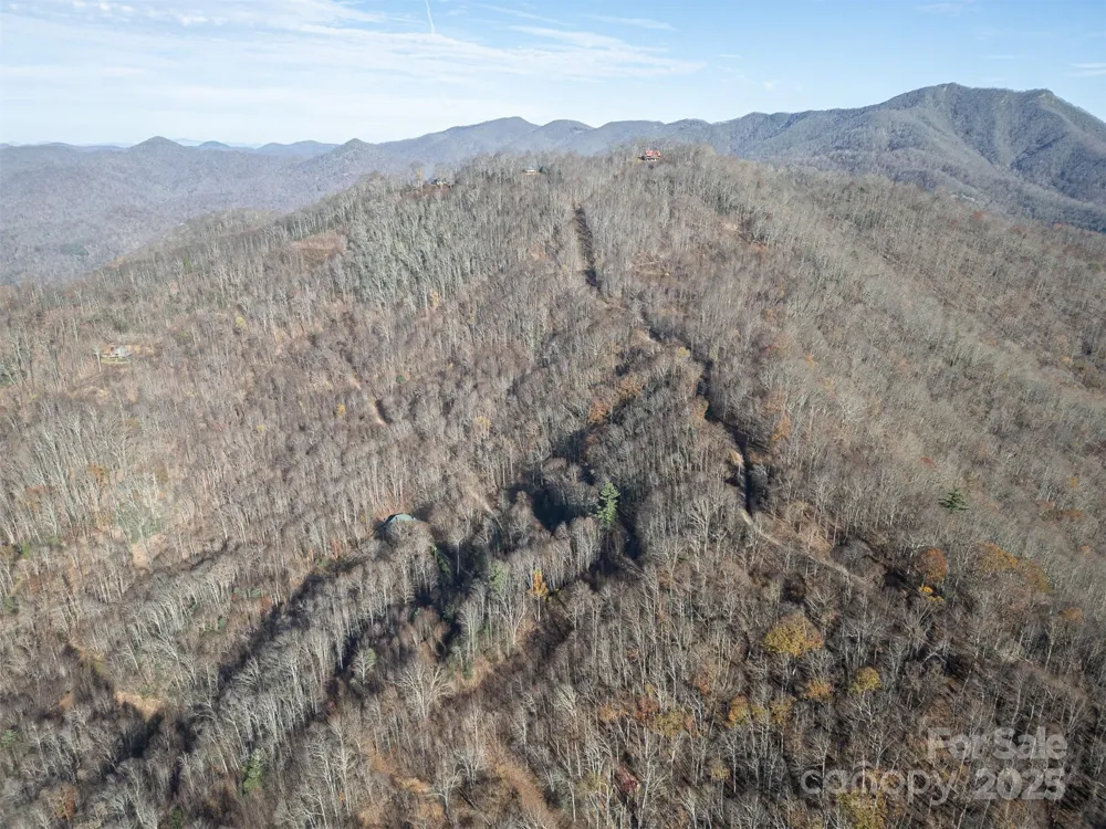 1098 Hyacinth Drive Clyde, NC 28721