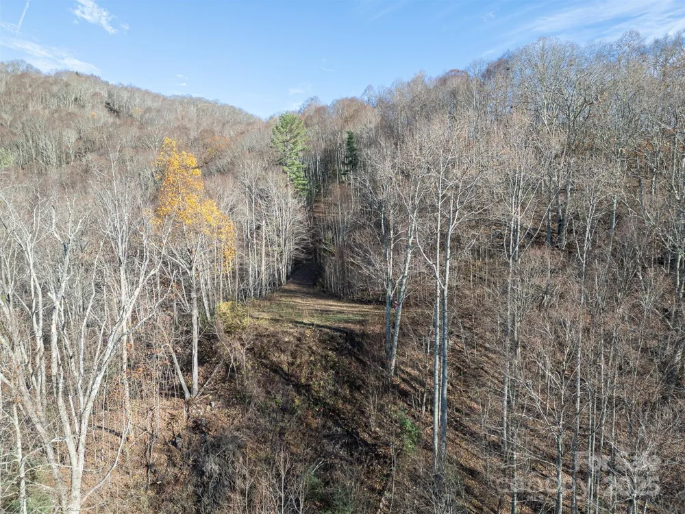 1098 Hyacinth Drive Clyde, NC 28721