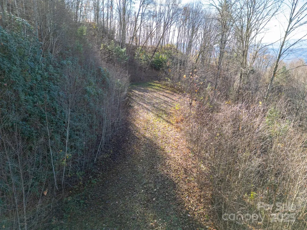0000 Hyacinth Drive Clyde, NC 28721