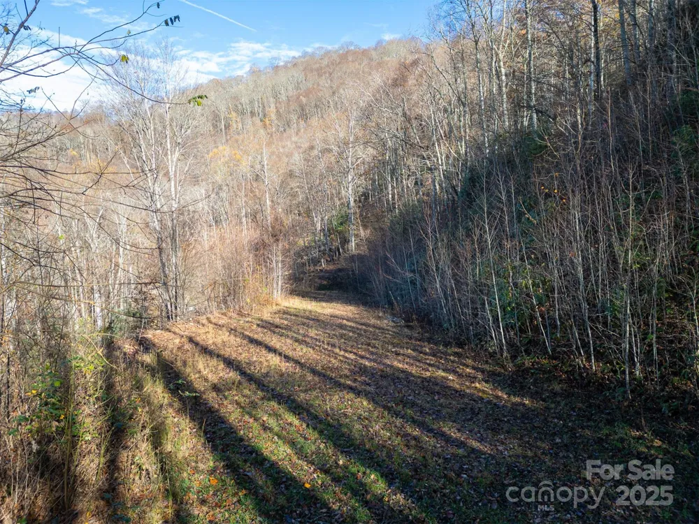0000 Hyacinth Drive Clyde, NC 28721