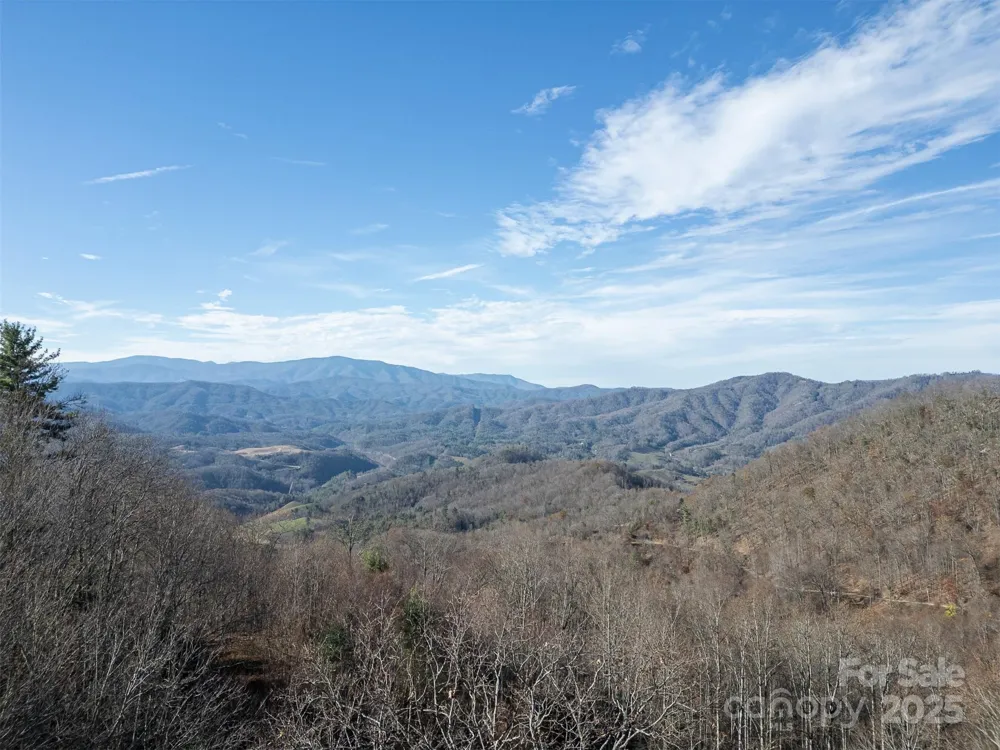 0000 Hyacinth Drive Clyde, NC 28721