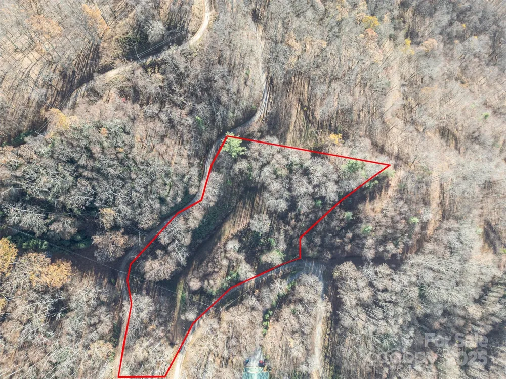 0000 Hyacinth Drive Clyde, NC 28721