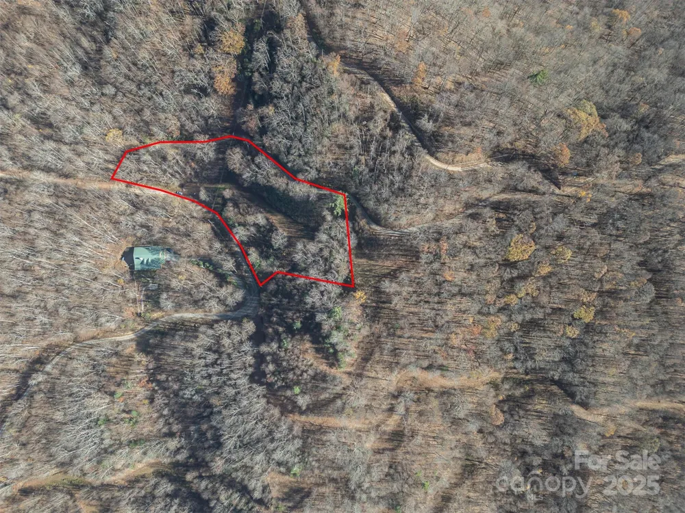 0000 Hyacinth Drive Clyde, NC 28721