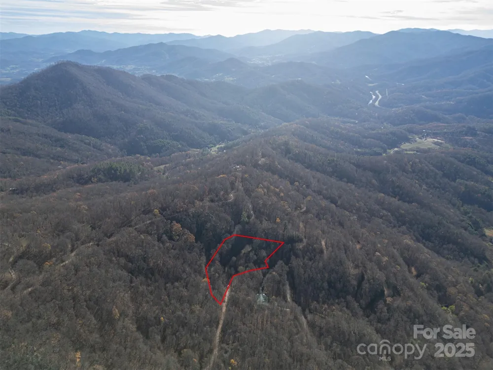 0000 Hyacinth Drive Clyde, NC 28721