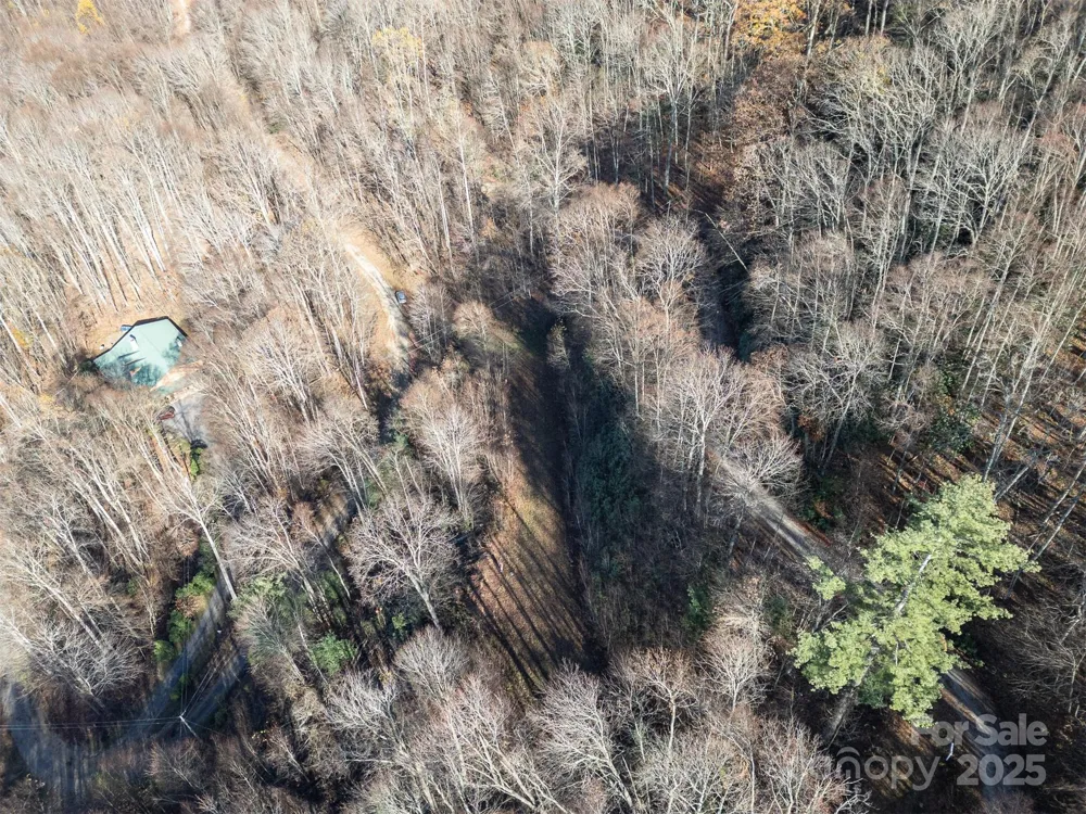 0000 Hyacinth Drive Clyde, NC 28721