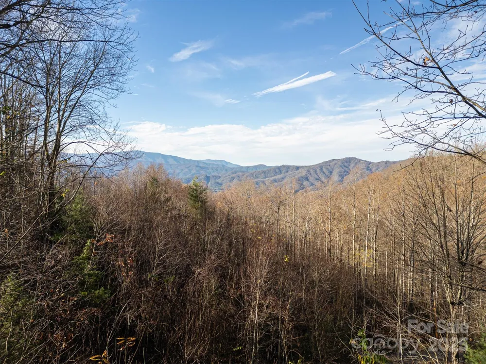 0000 Hyacinth Drive Clyde, NC 28721