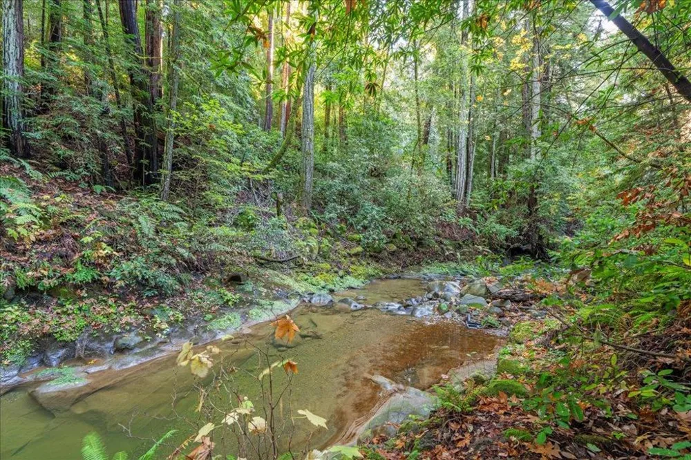 17710 Bear Creek Road Boulder Creek, CA 95006