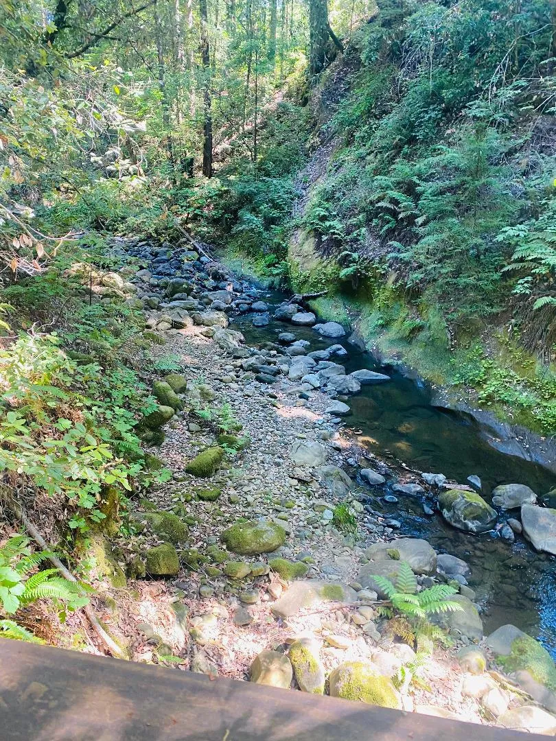 17710 Bear Creek Road Boulder Creek, CA 95006