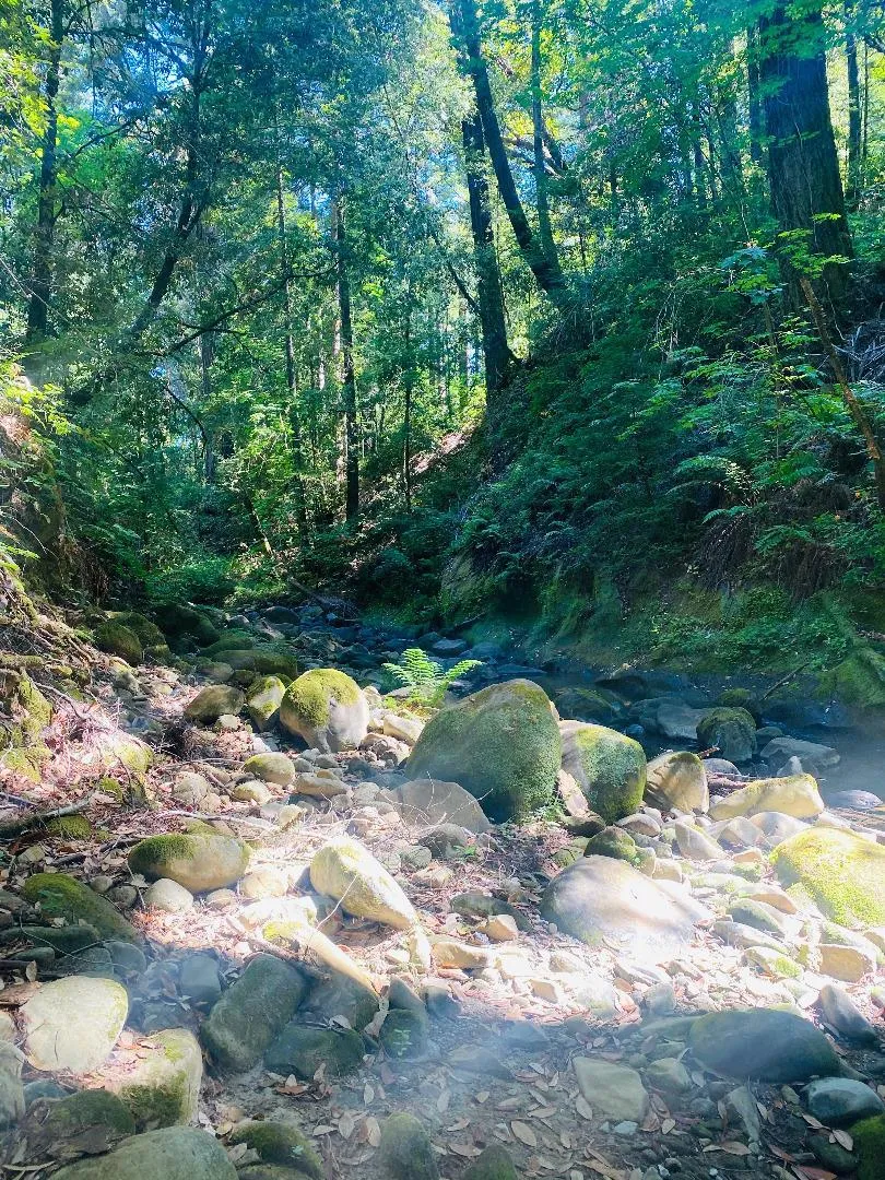 17710 Bear Creek Road Boulder Creek, CA 95006
