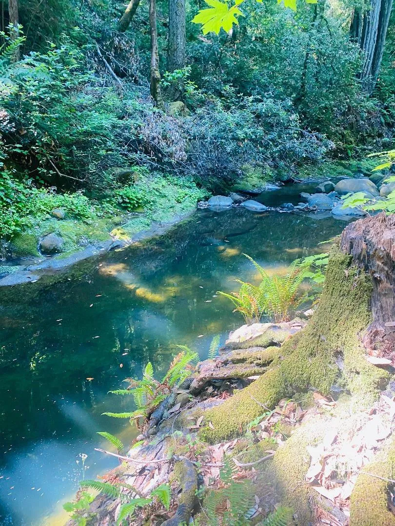 17710 Bear Creek Road Boulder Creek, CA 95006