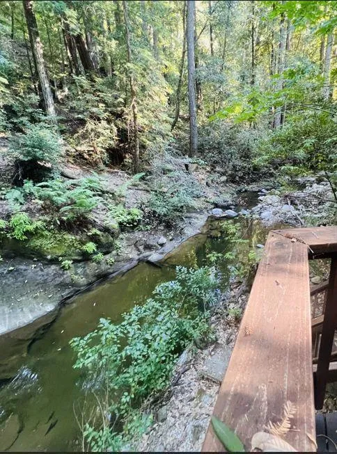 17710 Bear Creek Road Boulder Creek, CA 95006