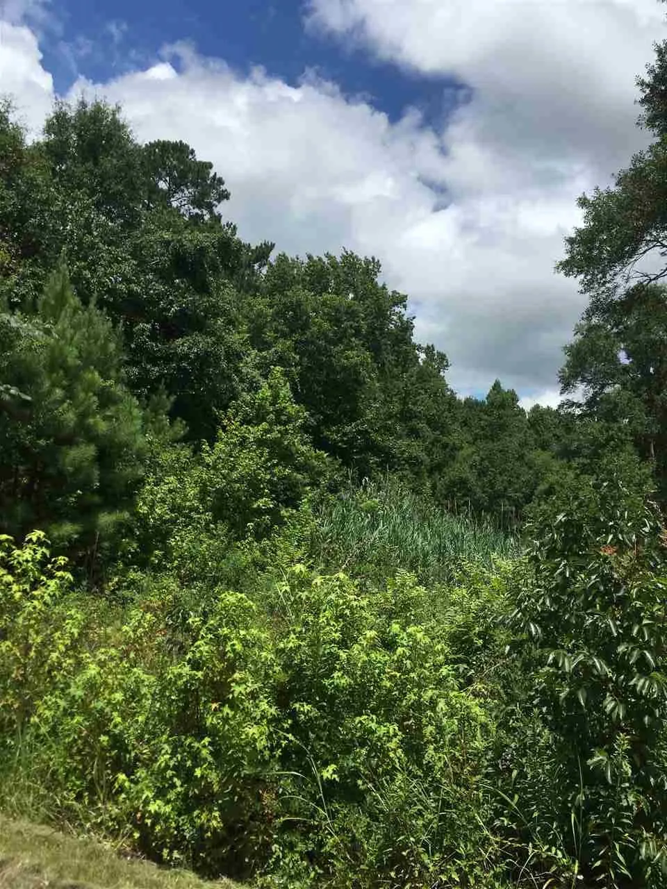 Mulberry Street Vaiden, MS 39176