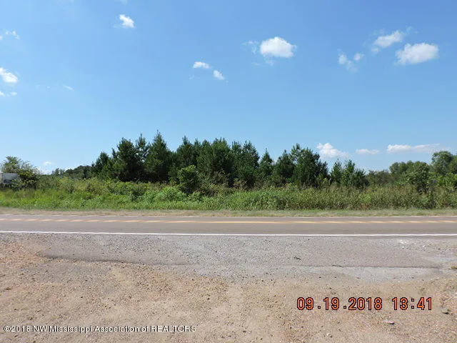 0 Highway 51 Nesbit, MS 38651