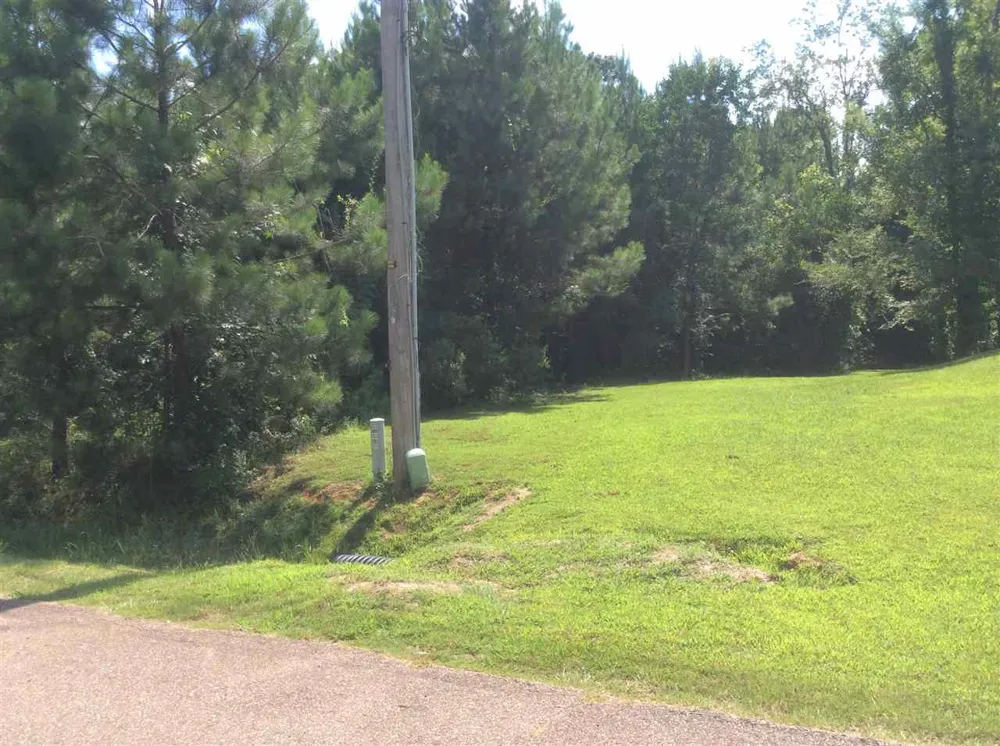 737 Forest Woods Drive Byram, MS 39272