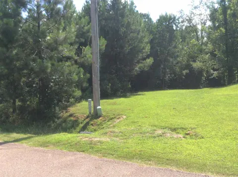 737 Forest Woods Drive
